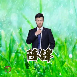 陈锋